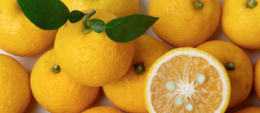 The Exotic Yuzu And Its Amazing Health Benefits